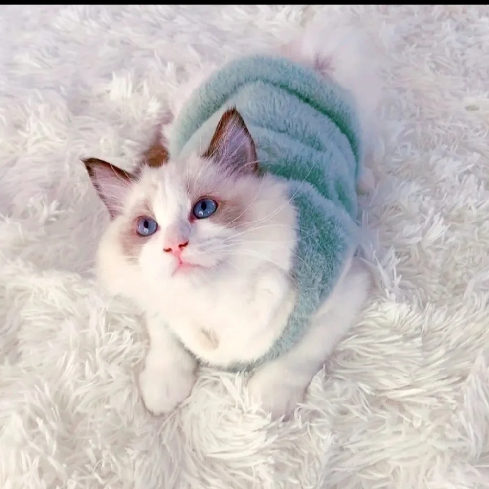 NEW - Need a FUR Coat for Your FUR BABY? **HP**